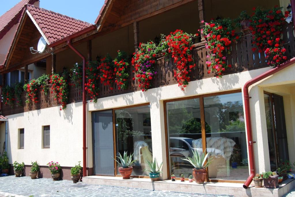 a building with flowers on the side of it at Pensiunea Casa Filoxenia in Horezu