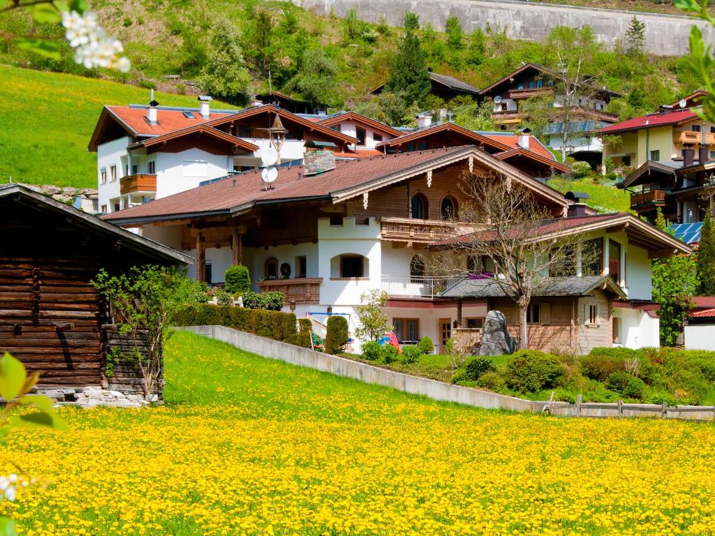 une maison au milieu d'un champ de fleurs jaunes dans l'établissement Adlerhorst , Gstan 31, à Finkenberg