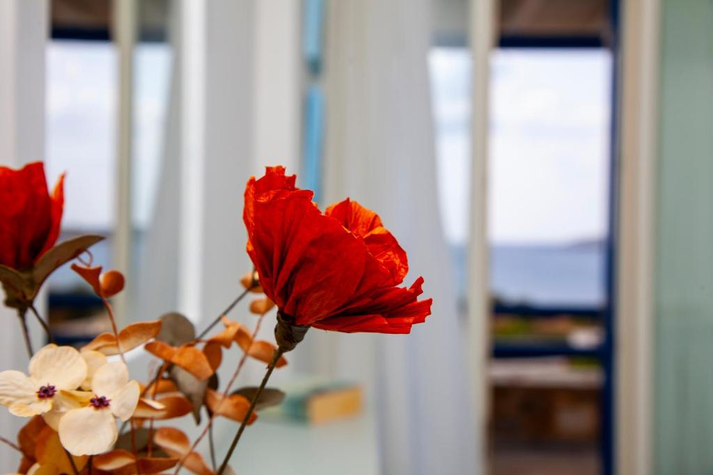 Fotografie z fotogalerie ubytování Aura Paros v destinaci Logaras