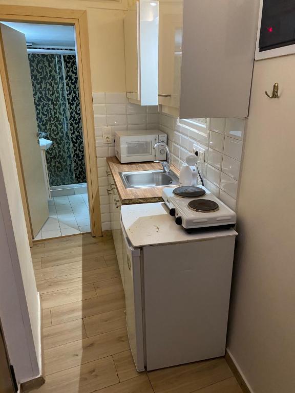 małą kuchnię ze zlewem i kuchenką w obiekcie Downtown apartment w Atenach