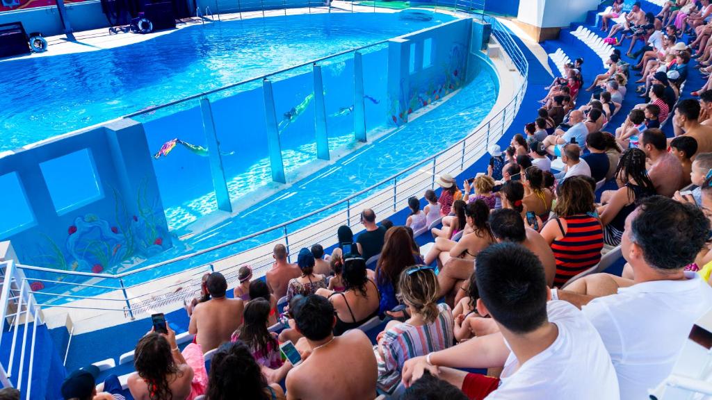 Bazén v ubytování Daima Biz Hotel - Dolusu Aquapark Access nebo v jeho okolí