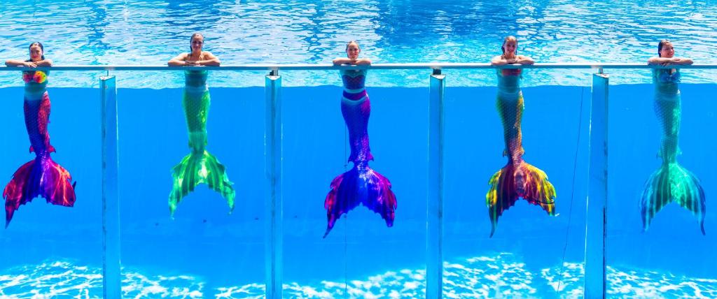Bazén v ubytování Daima Biz Hotel - Dolusu Aquapark Access nebo v jeho okolí