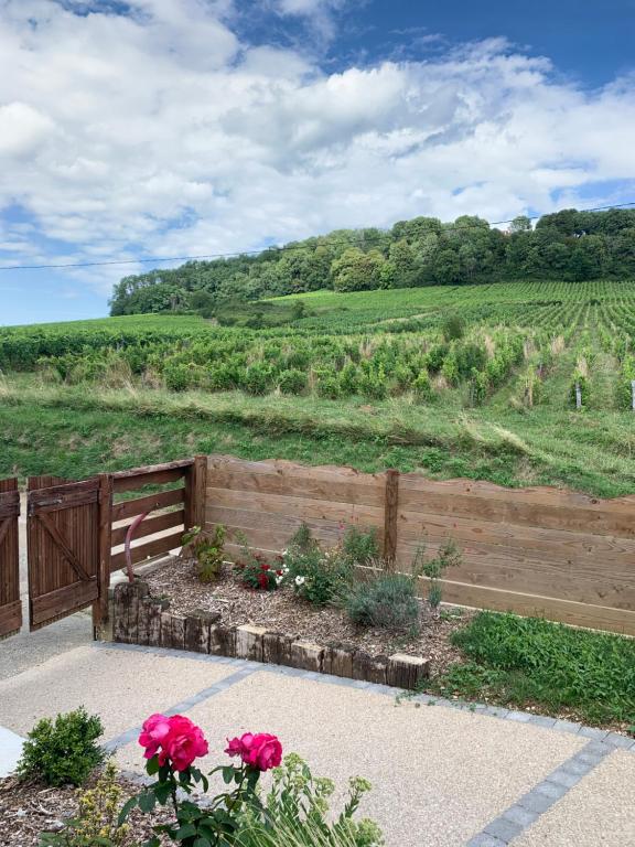 a garden with pink flowers in front of a fence at le gite des vignes Studio tout confort 1 chambre dans le vignoble Franche Comte Arbois in Arbois