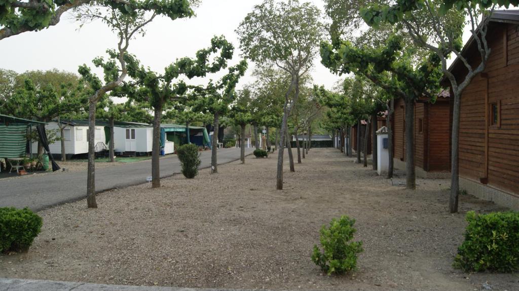 Camping Carlos III - 大篷车和车辆停放处（含电）