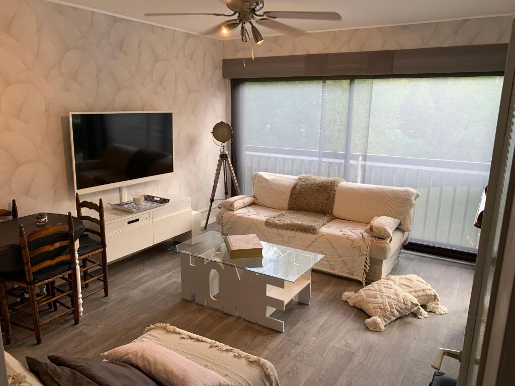 un soggiorno con divano e TV di Appartement cocooning a Villard-de-Lans