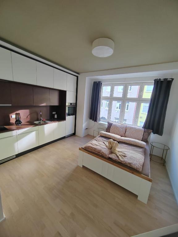 Kuchyň nebo kuchyňský kout v ubytování Skořepka15 apartment Brno-střed