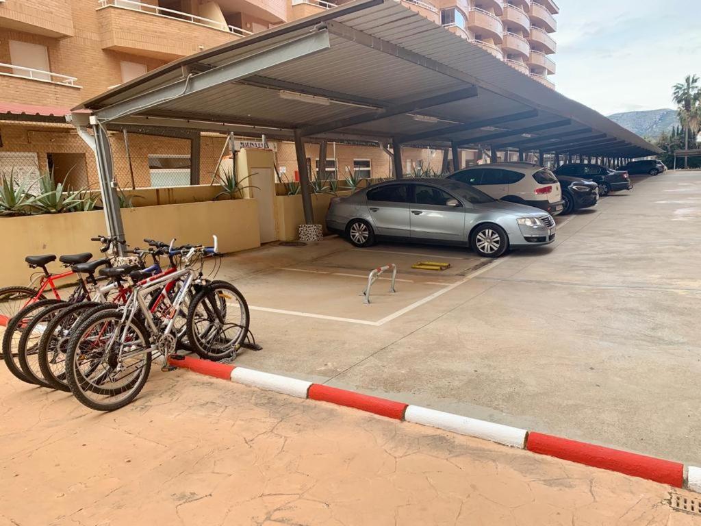 Jízda na kole v ubytování 1ra Linea Playa Magic World Luxury Apartament PP3 Pet nebo okolí