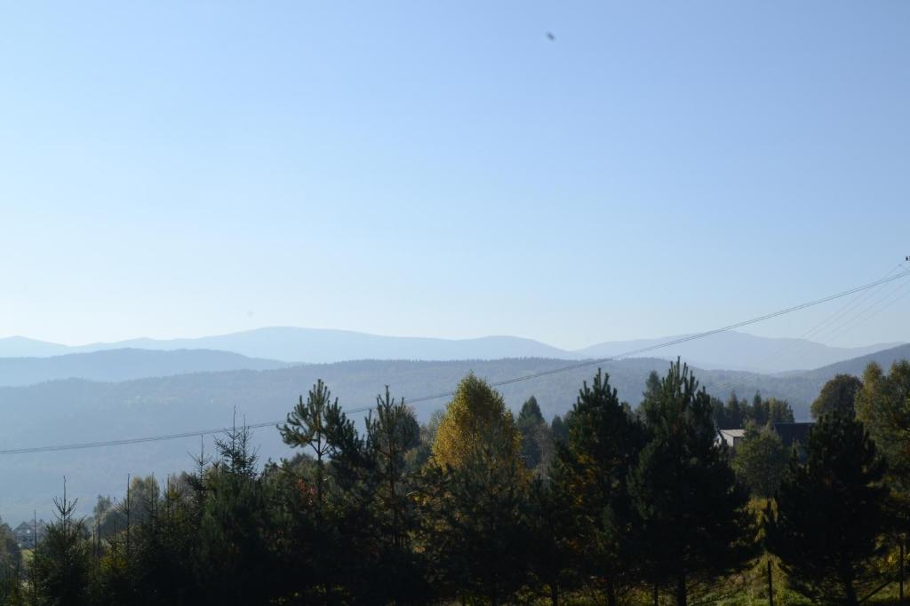 a view of trees and mountains in the distance at Chata Mioduszyna w Beskidach - drewniany dom z widokiem na Babią Górę in Maków Podhalański