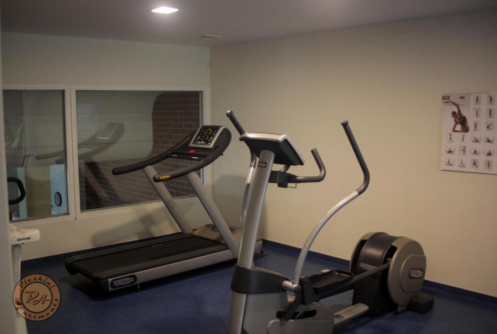 Fitness centrum a/nebo fitness zařízení v ubytování Pleskini Apartment