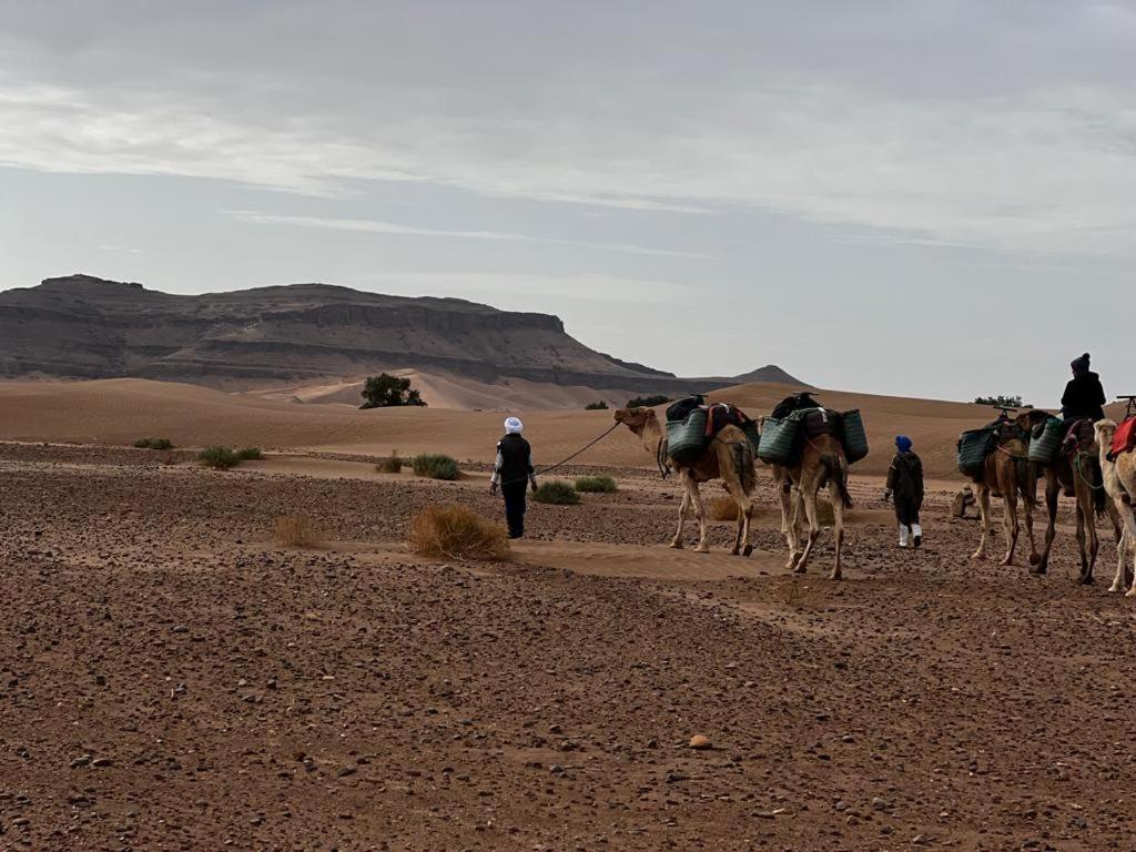 Photo de la galerie de l'établissement Desert Walking Camel Tours, à Mhamid