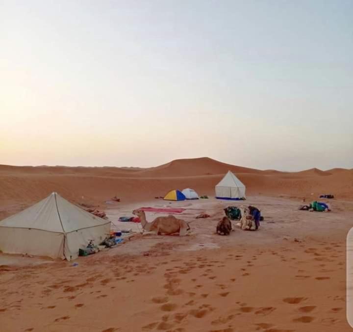 a group of tents and animals in the desert at Mhamid wild Trekking Camels in Mhamid