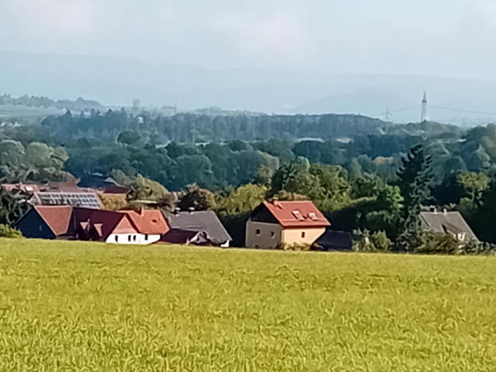 un grupo de casas en un campo de césped verde en Ferienhaus Hesse im Frau Holle Land, en Germerode