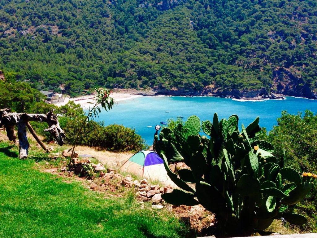 Fotografie z fotogalerie ubytování Kabak Armes Hotel v destinaci Faralya