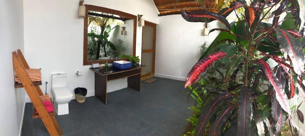 Fotografie z fotogalerie ubytování Agonda Beach Villa v destinaci Agonda