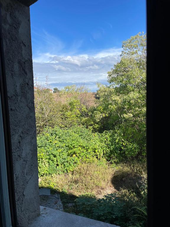 Photo de la galerie de l'établissement Las Vignes Zimer 1 - Où le calm apaise l'âme, à Cazes-Mondenard