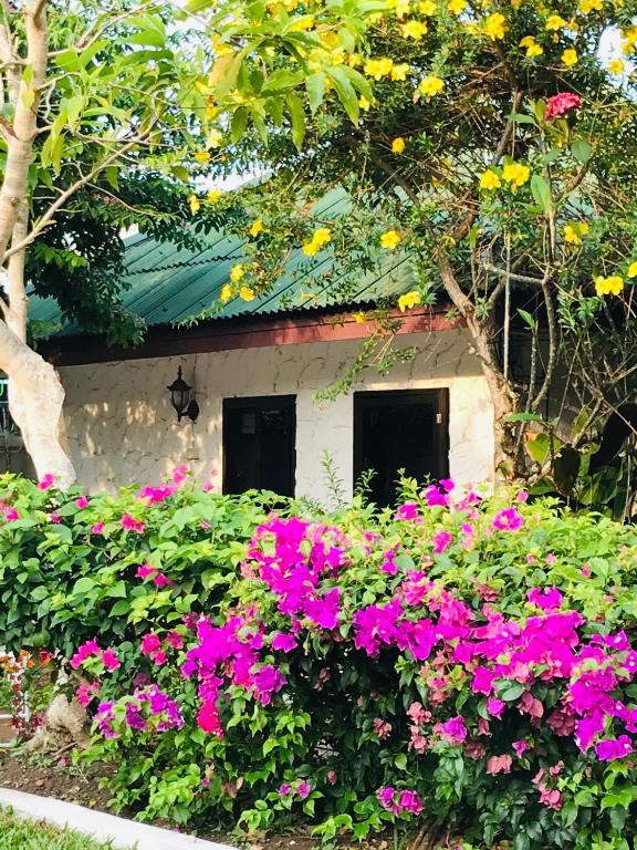 a garden of flowers in front of a house at Guest House, shared pool, private bathroom and kitchen in Phuket Town