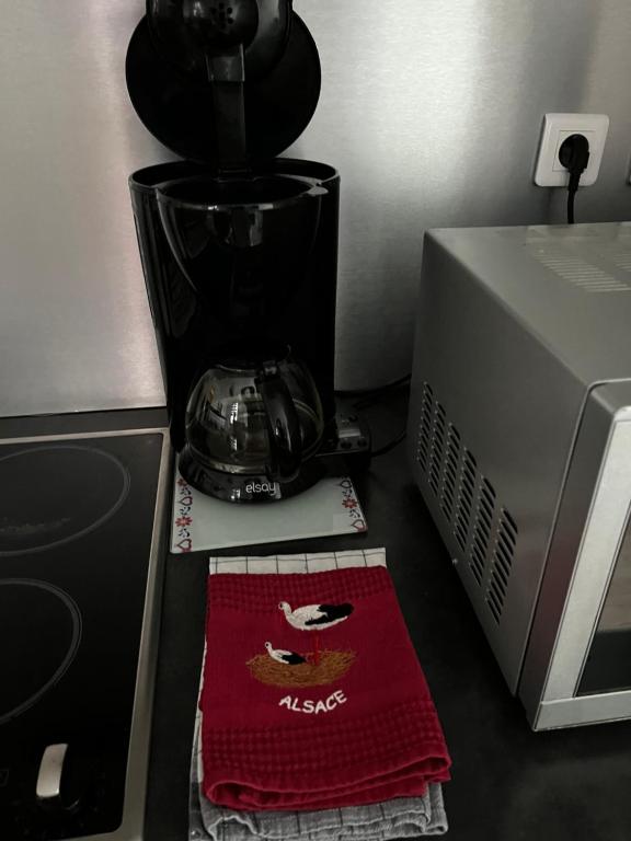 Gîte Ripcup au coeur de Ribeauvillé – photo 16