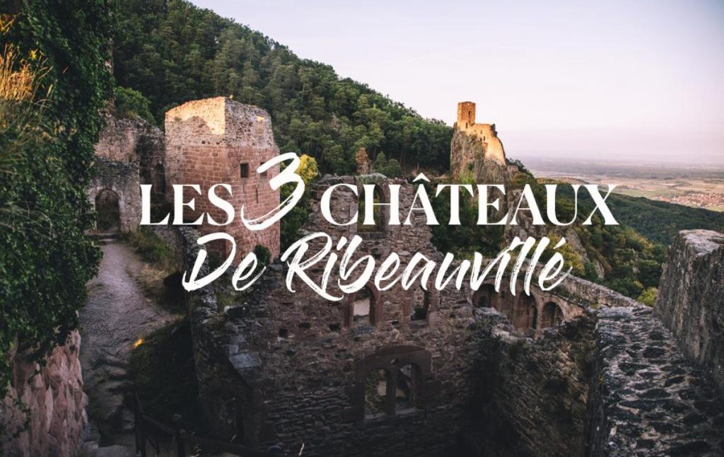 Gîte Petite Palette – photo 18