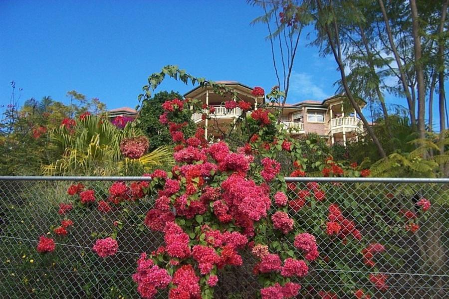 a fence with pink flowers in front of a house at Tranquil Garden Hideaway in Ormeau