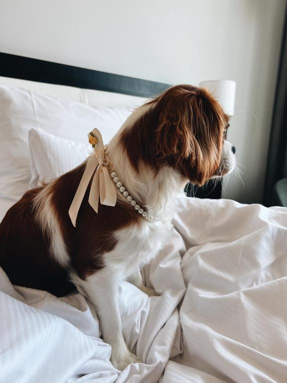 Postel nebo postele na pokoji v ubytování Clarion Hotel Stockholm