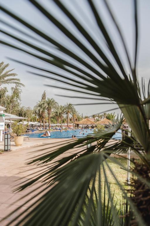 vista su una piscina in un resort con palme di Kenzi Menara Palace & Resort a Marrakech