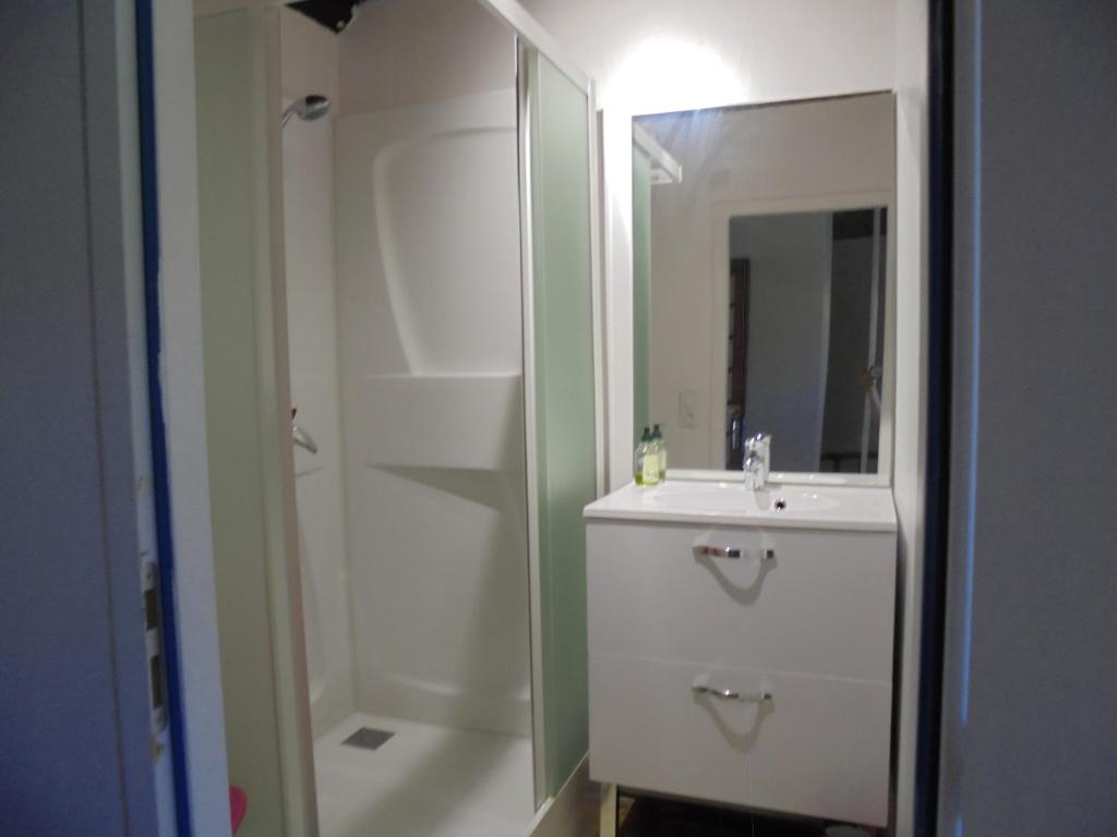 Koupelna v ubytování Logement chez l'habitant!