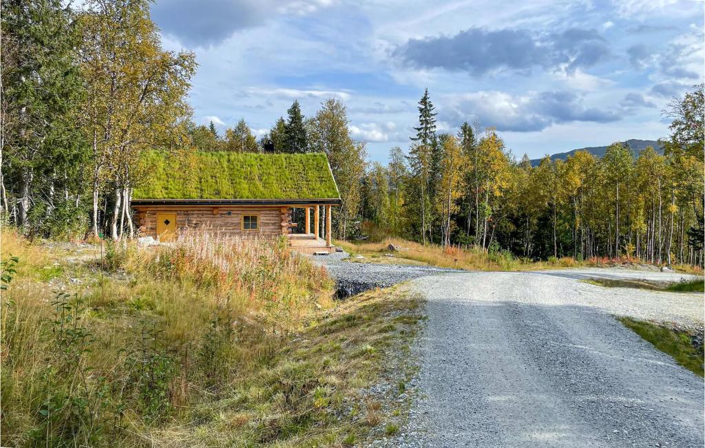 uma casa com um telhado verde ao lado de uma estrada em 3 Bedroom Gorgeous Home In Kittelfjll em Kittelfjäll