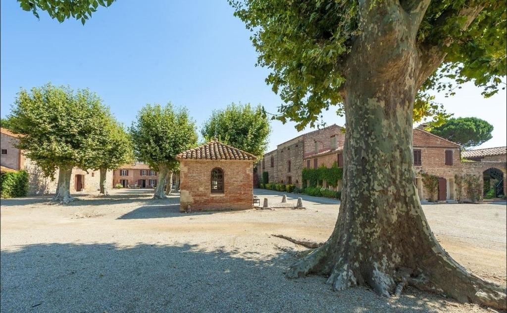 ein Baum mitten im Innenhof mit einem Gebäude in der Unterkunft Mas Sant Jordi in Alénya