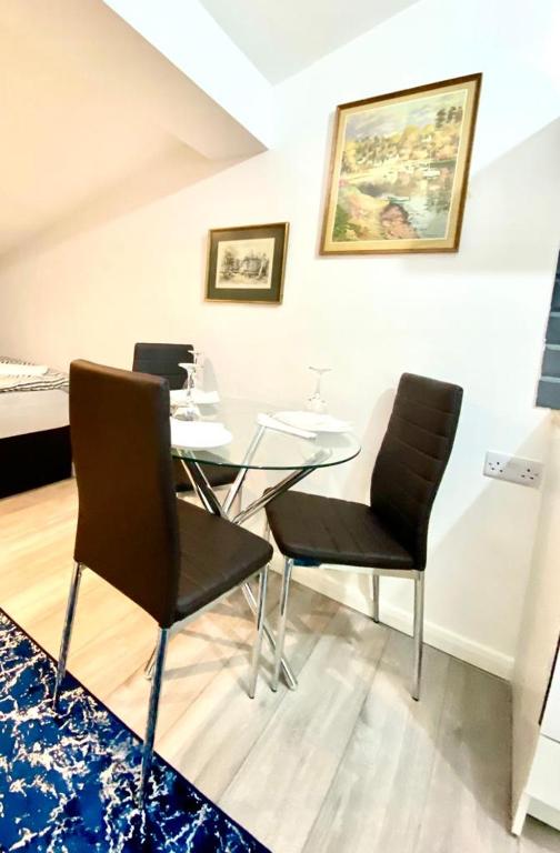 One Bed Studio Near Wembley Stadium Free Car Park in London, London