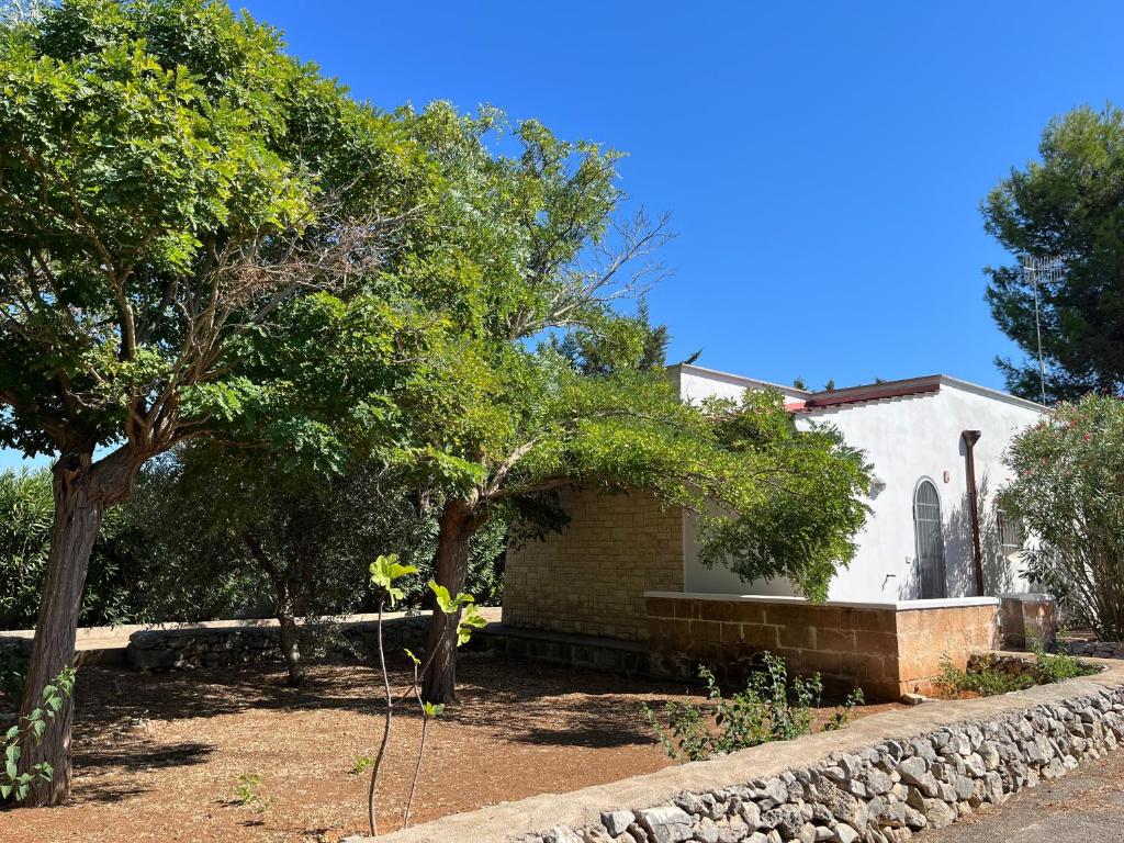 Ogród w obiekcie Casette Masseria La Camardia