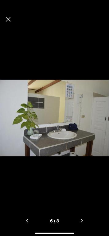 Fotografie z fotogalerie ubytování Hotel Indalo adults only v destinaci Puerto Viejo