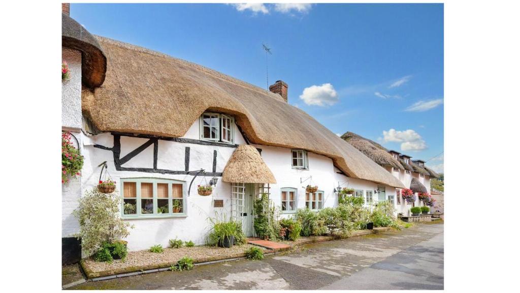 a thatched building with plants in front of it at Michaelmas Cottage Upavon in Upavon