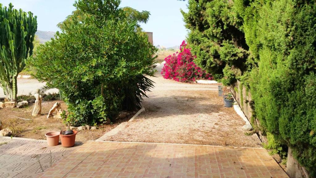 A garden outside Friendly house with shared pool in Cartagena