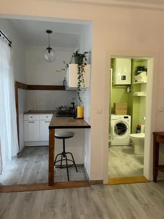 La cuisine est équipée d'un comptoir, d'un évier et d'un lave-linge. dans l'établissement Studio cosy quartier observatoire, à Strasbourg