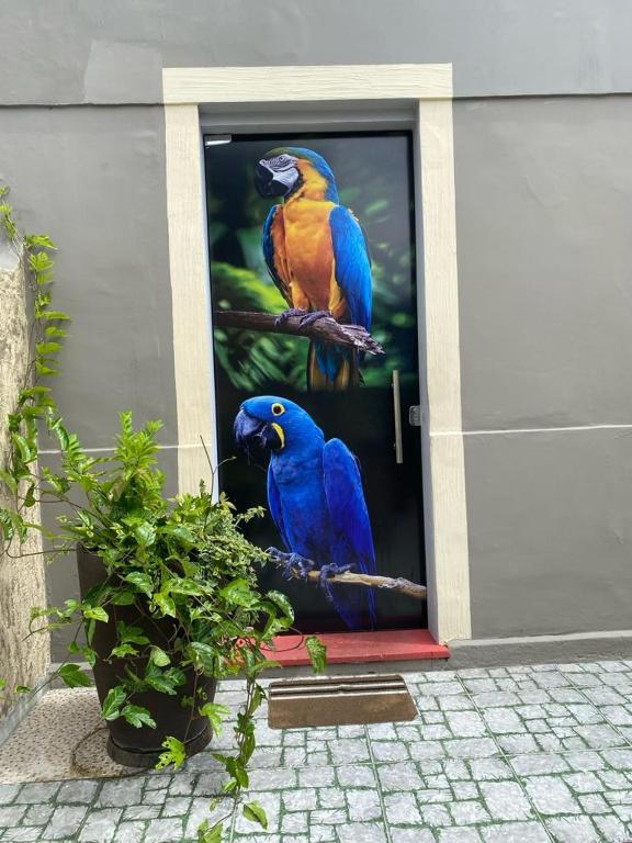 Fotografie z fotogalerie ubytování Aldeia Hostel II v destinaci Manaus