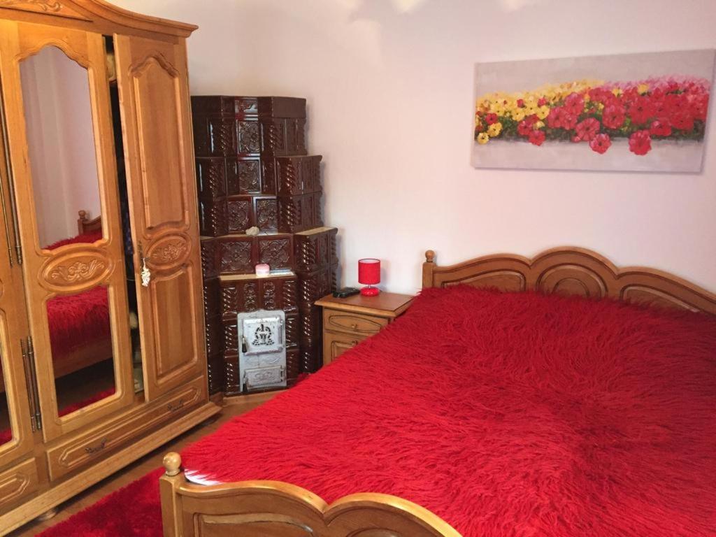 Schlafzimmer mit einem roten Bett und einem Holzschrank in der Unterkunft Casa Emil in Botuş