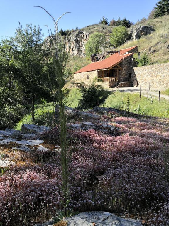 un jardín con flores púrpuras frente a una casa en Casa do Moleiro, en Mirandela