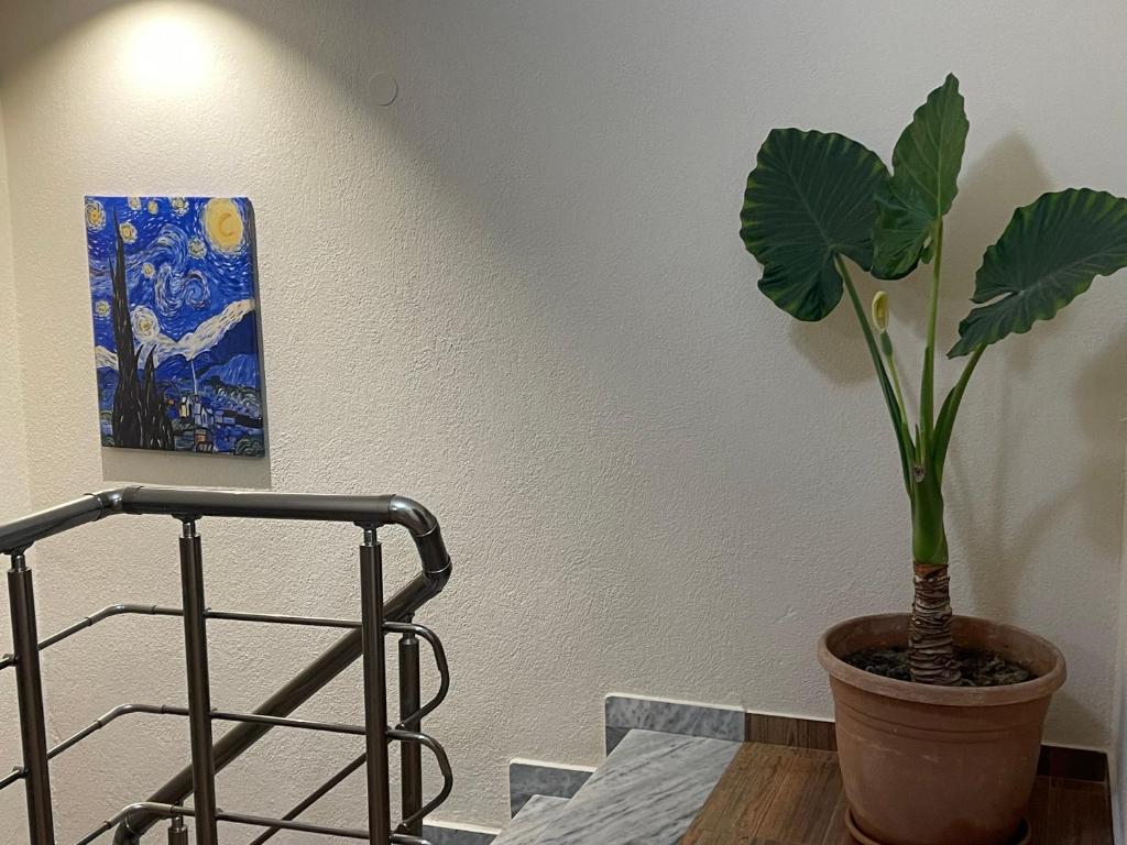 Fotografie z fotogalerie ubytování Guesthouse Enea v destinaci Pogradec