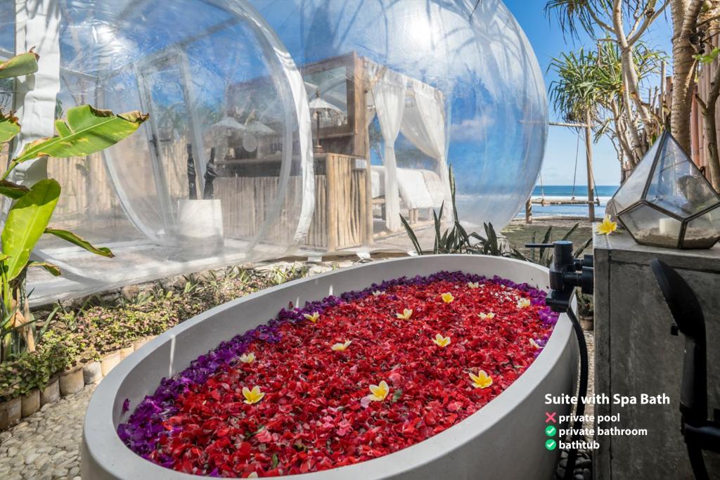 Bubble Hotel Nyang Nyang — Adults only