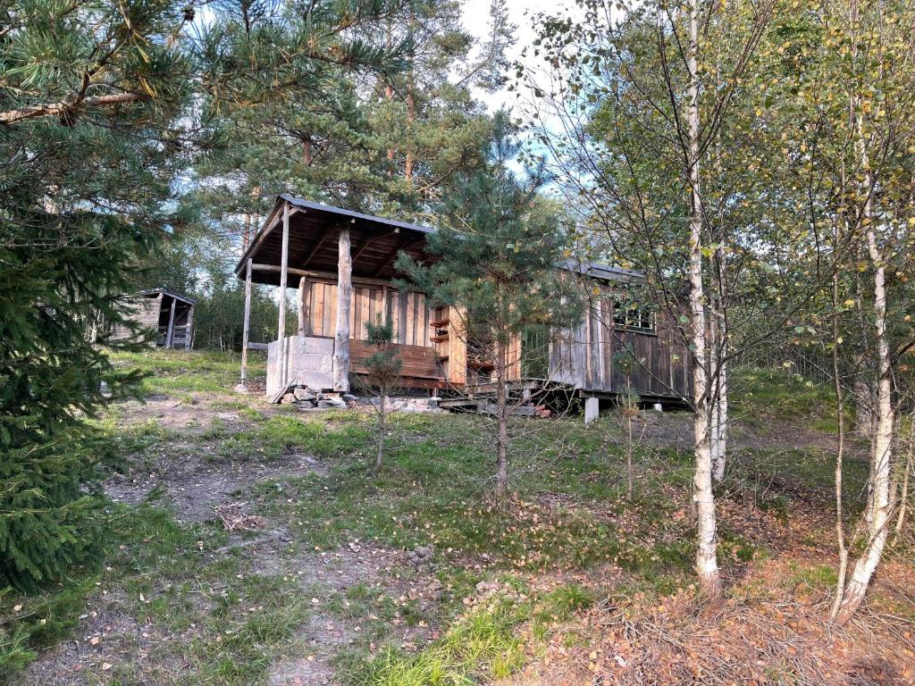 a log cabin in the middle of a forest at koselig liten hytte i Skien in Skien