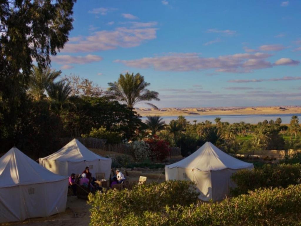 a group of people sitting in tents next to a lake at Tunis Camp Fayoum in Fayoum