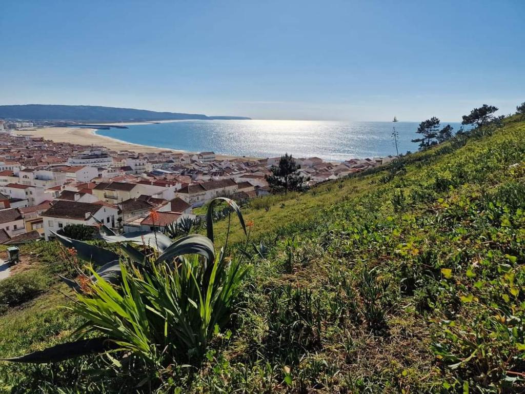 uma vista de uma cidade sobre uma colina ao lado do oceano em CANTINHO DAS FIGUEIRAS na Nazaré