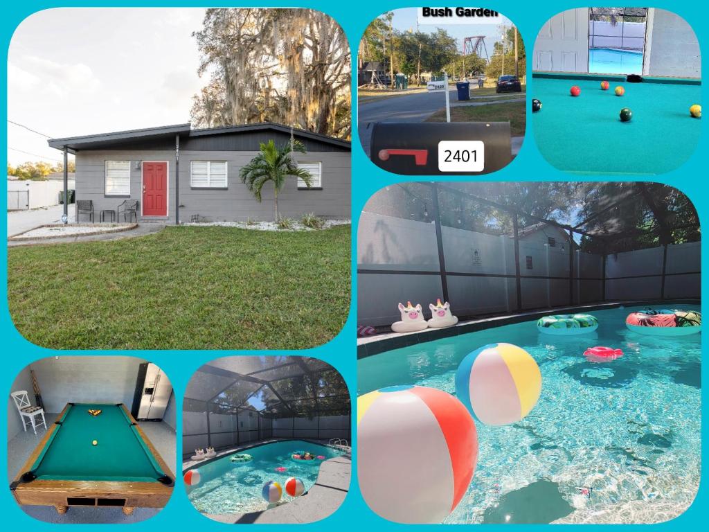 a collage of pictures of a pool and a house at EntireHouse w/Bush Garden View_Private Heated POOL in Tampa