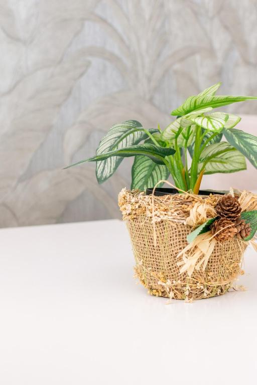 Gce Hoteles - Resim 30