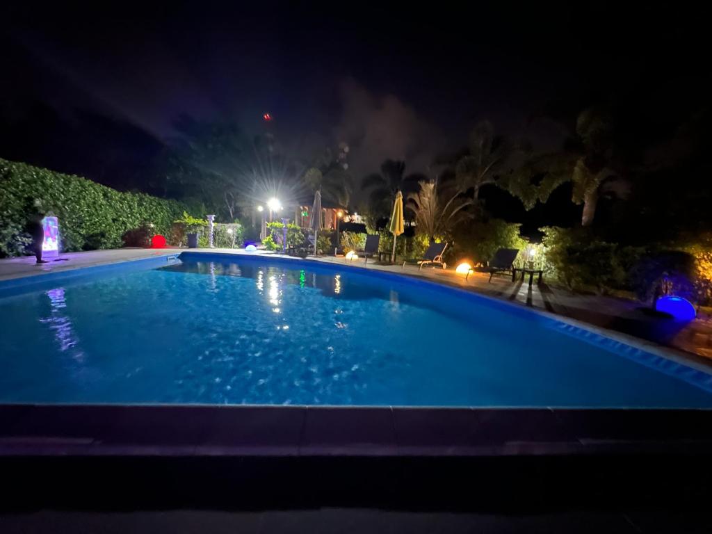 a large blue swimming pool at night at Appartement Coeur de Papillon in Baie-Mahault