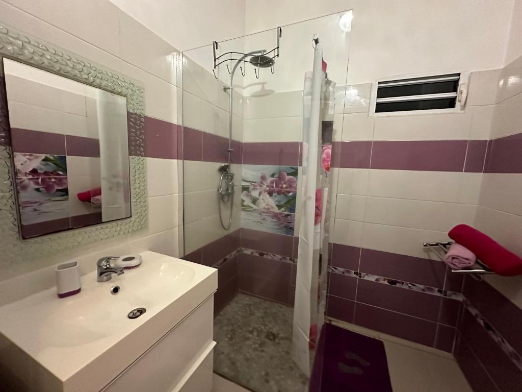 a bathroom with a sink and a shower at Appartement Coeur de Papillon in Baie-Mahault