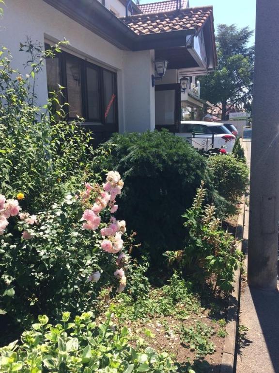 Zahrada ubytování Das SP Hotel