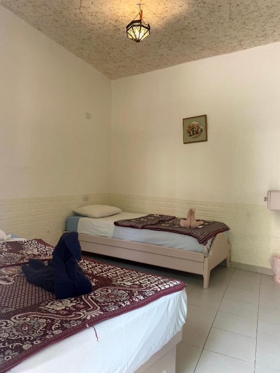 Postel nebo postele na pokoji v ubytování Sunrise Dahab lodge