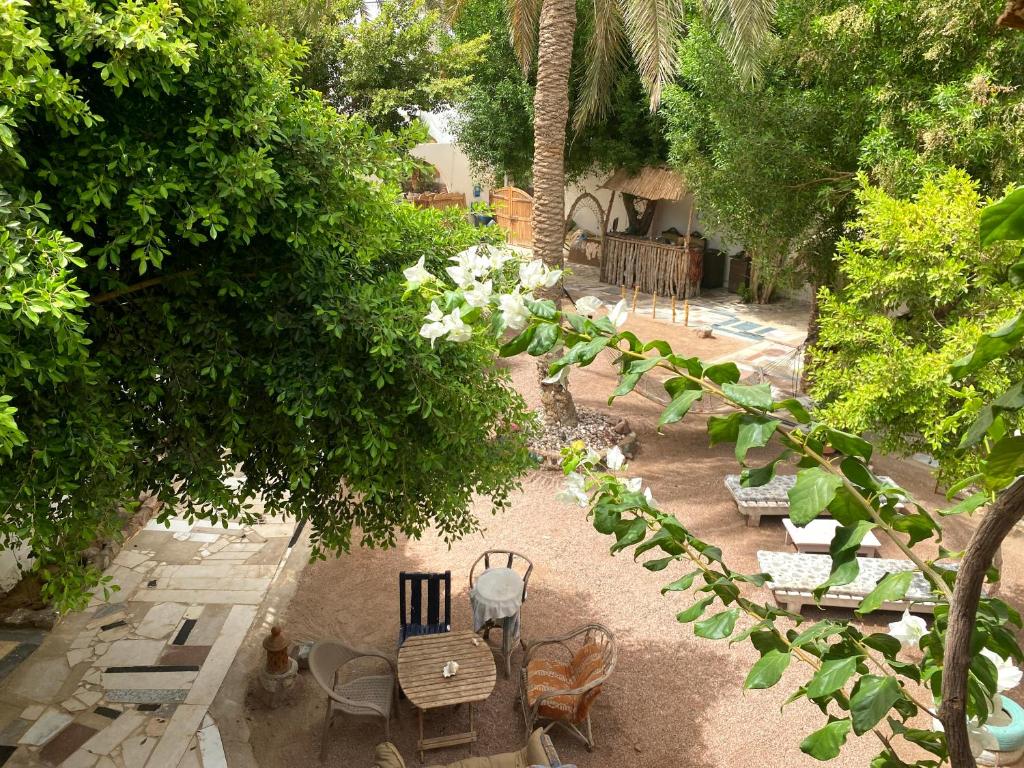 Zahrada ubytování Sunrise Dahab lodge