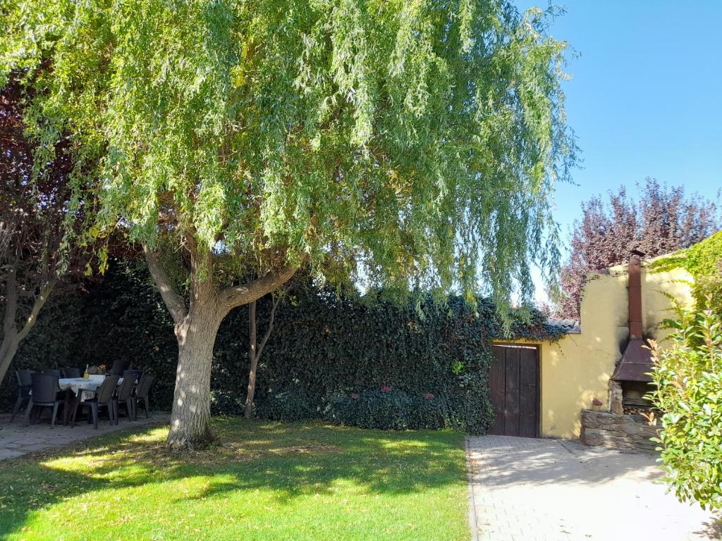 uma árvore num quintal com uma mesa e cadeiras em El Molino em Nieva